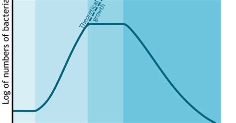 bacterial growth curve in microbiology for # nurses - Nurses notes