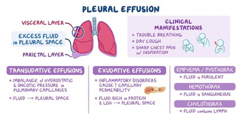 Types Causes Of Pleural Effusion Pleural Effusion Nurse Teaching | My XXX Hot Girl