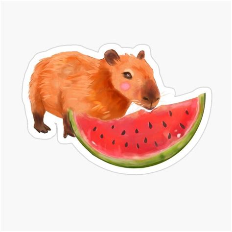 Capybara eats Watermelon sticker Available | Capybara, Cute animal drawings, Cute animals