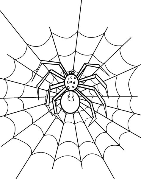 Spider Web Drawing at GetDrawings | Free download