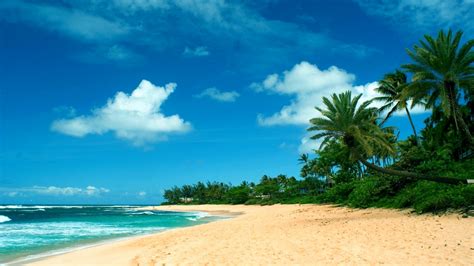 Hawaii Beach Wallpaper 1920x1080 56245 - Baltana