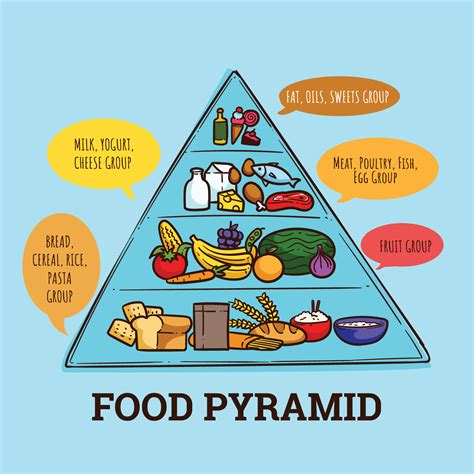 Food Pyramid 892