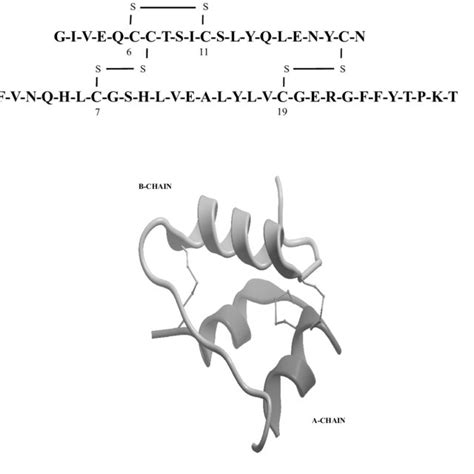 (PDF) The Chemical Synthesis of Insulin: From the Past to the Present