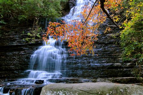 a waterfall in the middle of a forest with fall leaves on it's branches