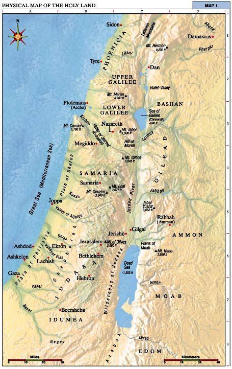 Pin on Abbasid Decline and The Spread of Islam