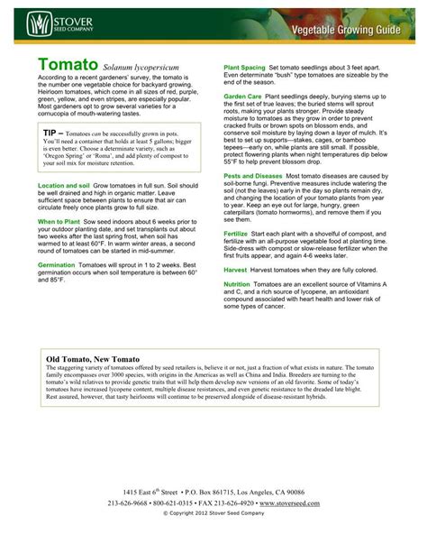 Tomato Solanum Lycopersicum Plant Spacing Set Tomato Seedlings About 3 Feet Apart - DocsLib