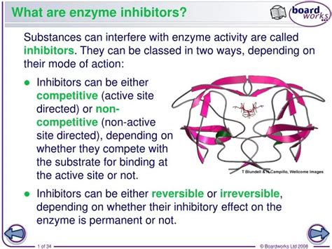 PPT - What are enzyme inhibitors? PowerPoint Presentation, free download - ID:2027798