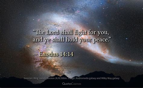 “The Lord shall fight for you, and ye shall hold your peace.” — Moses, Exodus 14:14 | by ...