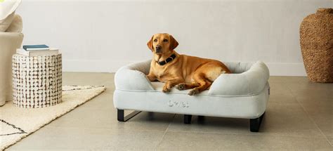 Memory Foam Bolster Dog Beds | Omlet