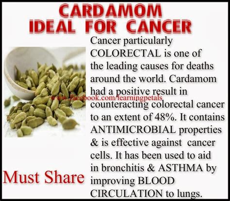 Wat the health WTH: Benefits of Cardomom