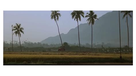 Frames from the song 'Chinna Chinna Aasai' from the movie Roja by Maniratnam : r/kollywood