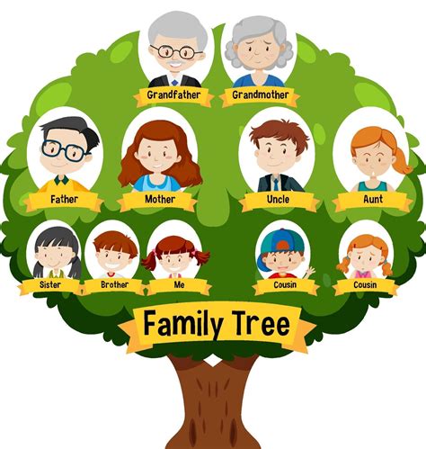 Arvore Genealogica Family Tree Genealogy Blank Family - vrogue.co