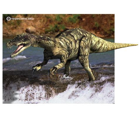 Baryonyx - Prehistoric Wiki