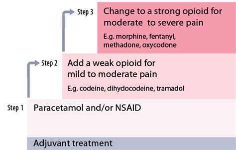 The principles of managing acute pain in primary care - bpacnz