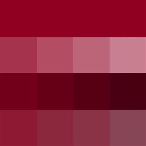 Burgundy | Pantone, Colori, Palette