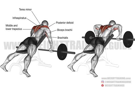 Prone incline wide-grip upright row exercise instructions and video