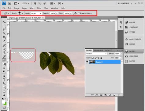 Eraser Tool in Photoshop | Uses of Different Eraser Tool in Photoshop