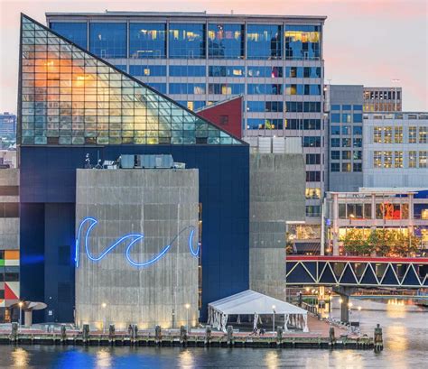 Things to Do in Baltimore - National Aquarium