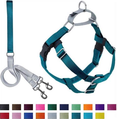 2 Hounds Design Freedom No-Pull Dog Harness and Leash (Large 1 ) (Teal ...