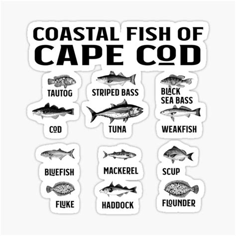 "Cape Cod Fishing Souvenir Coastal Fish Of Cape Cod " Sticker for Sale ...