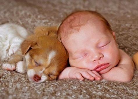 These 16 dogs cuddle with babies and it's absolutely perfect Check more at http://giveitlove.com ...