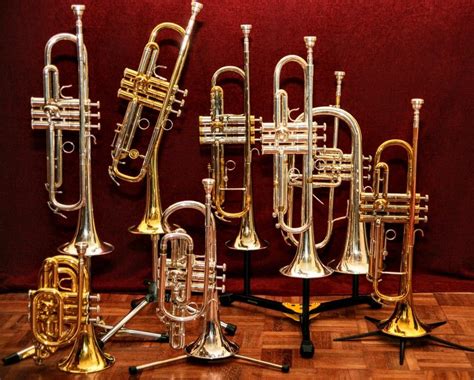 Pin by Bob Jackson on Trumpet in 2020 | Brass musical instruments, Trumpets, Trumpet players