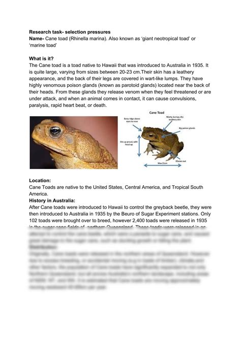 Research Task- Cane Toads and Selection Pressures | Biology - Year 11 ...