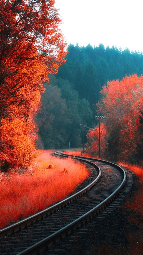 Autumn Landscape, HD phone wallpaper | Peakpx