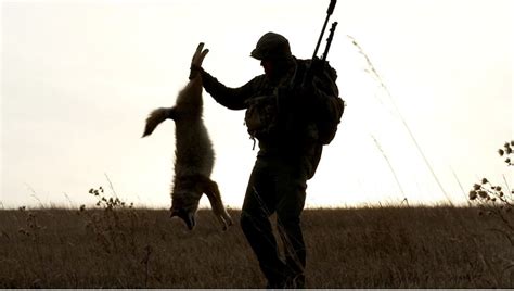 GUIDE TO SUCCESSFUL COYOTE HUNTING - Safari Club