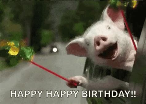 Happy Birthday Animal Pig Car Excited GIF | GIFDB.com