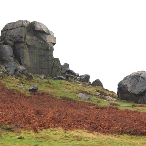 Cow and Calf Rocks on Ilkley Moor (photo: J Paull). | Download ...