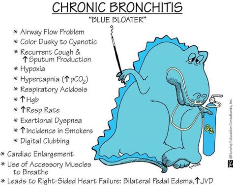 Copd Pink Puffer Blue Bloater Bronchitis | Nurse, Copd nursing, Nursing ...