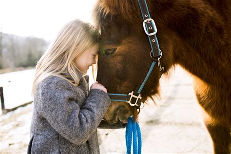 Best 15 Horseback Riding Camps in the USA For Children - HRN