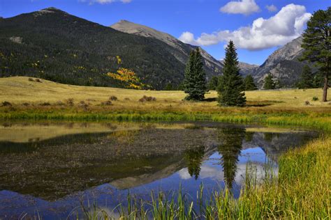 COLORADO - ROCKY MOUNTAIN NATIONAL PARK - Horseshoe Park - Light Journeys