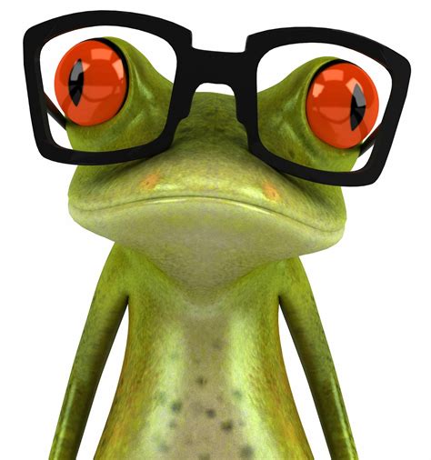 Frog Wearing Sunglasses wallpaper - beautiful desktop wallpapers 2014