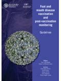 Foot and mouth disease vaccination and post-vaccination ... / foot-and ...