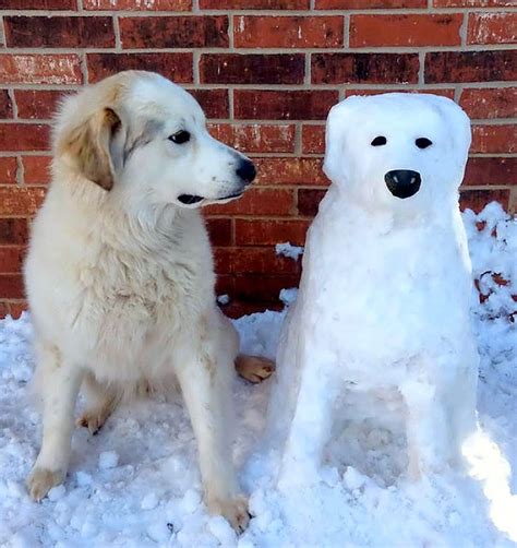 Truly Awesome Snow Sculptures of Dogs - LIFE WITH DOGS