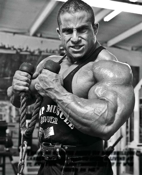 Kevin Levrone MD MUSCLE REPORT