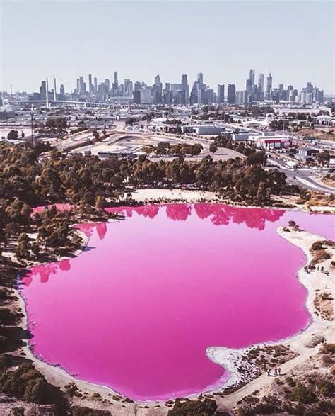 This lake that is near Melbourne turned pink! 🌺 Do you want to go to ...