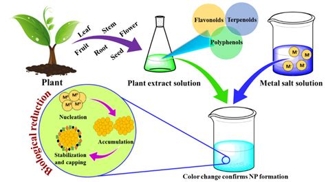 Catalysts | Free Full-Text | Green Synthesis of Metallic Nanoparticles: Applications and Limitations