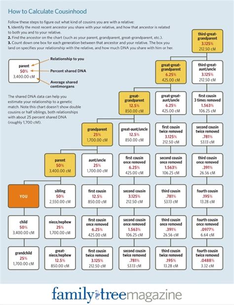 Was ist ein Cousin zweiten Grades? Berechne deine Cousin-Beziehungen ...