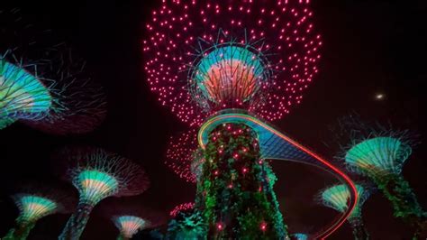 Supertrees: Amazing light and musical show at night at the Supertree ...