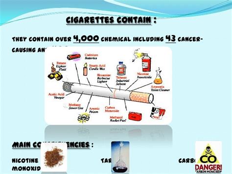 effects of smoking, alcohol, and drugs on the body