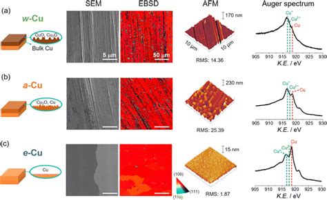 Identifying the active sites and intermediates on copper surfaces for electrochemical nitrate ...