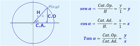 Círculo unitario