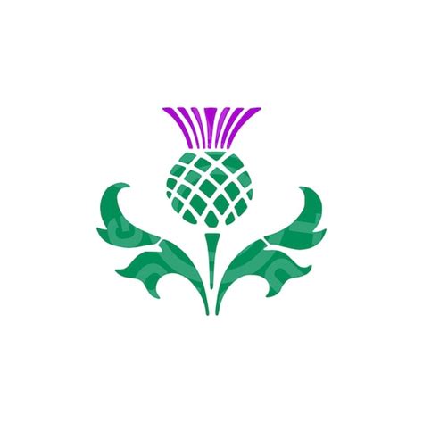 Scottish Thistle Digital SVG Printable Cut File Scottish - Etsy