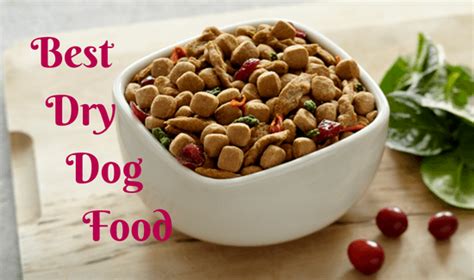 Best Dry Dog Food Reviews for Healthy Living | Hellow dog