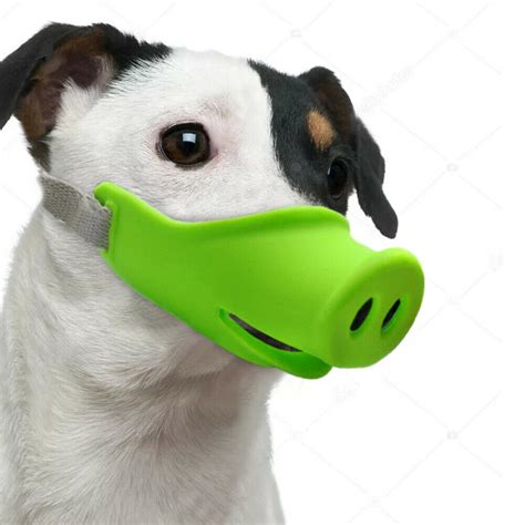 Small dog muzzle - vectorluli