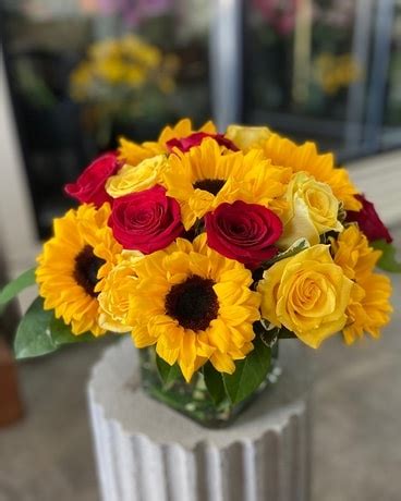 Sunflower Cube with Red Roses [With Free Delivery]