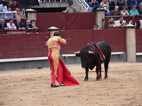 Arguments for and Against Bullfighting - Soapboxie